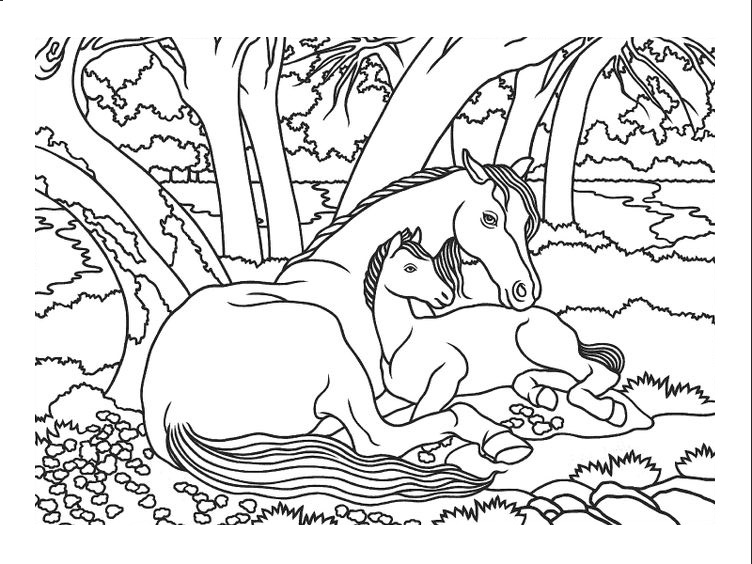 Tranh tô màu con ngựa đang nằm nghỉ