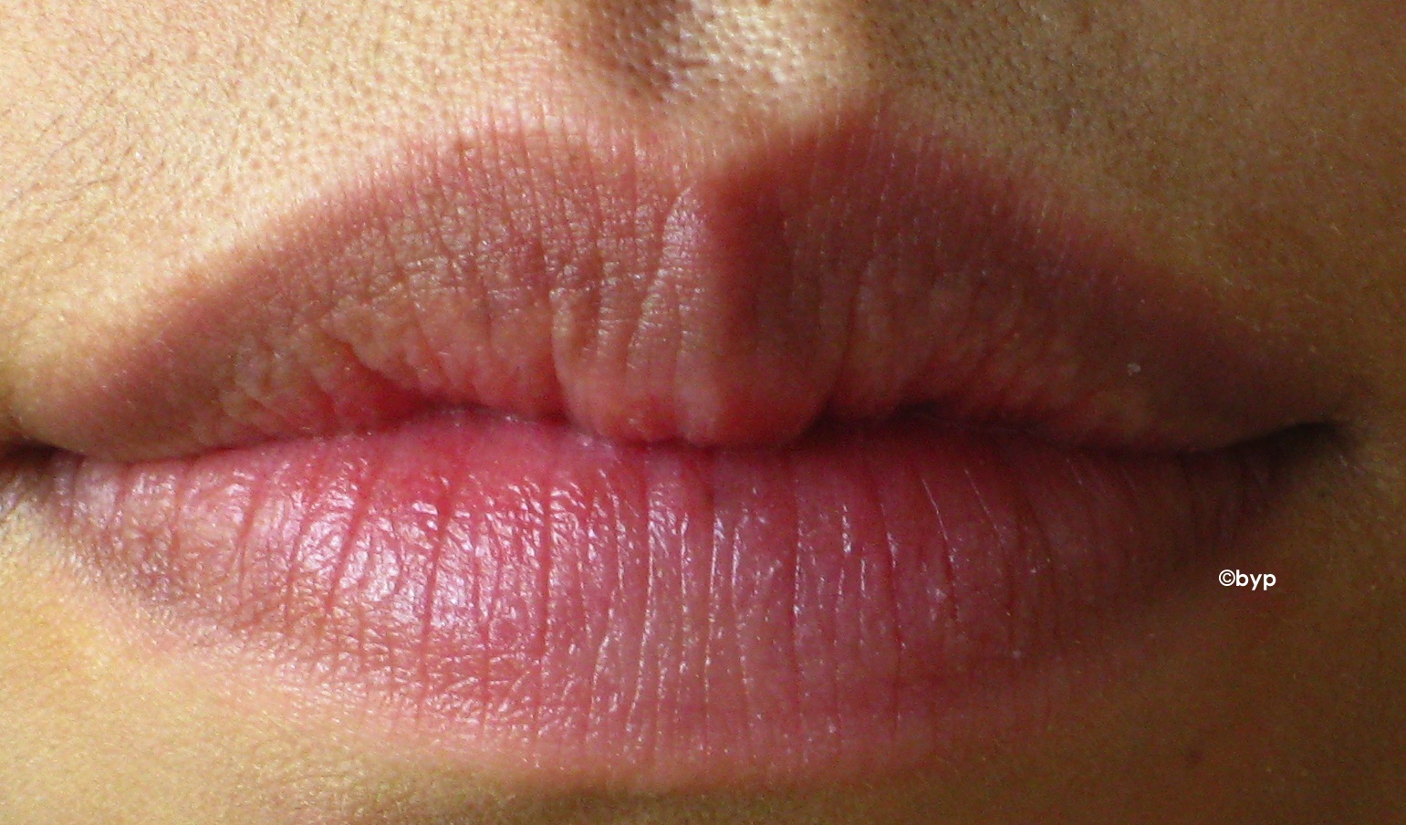 Adventures of a Bright Young Person /Lips/ Milani Color Statement Lipstick