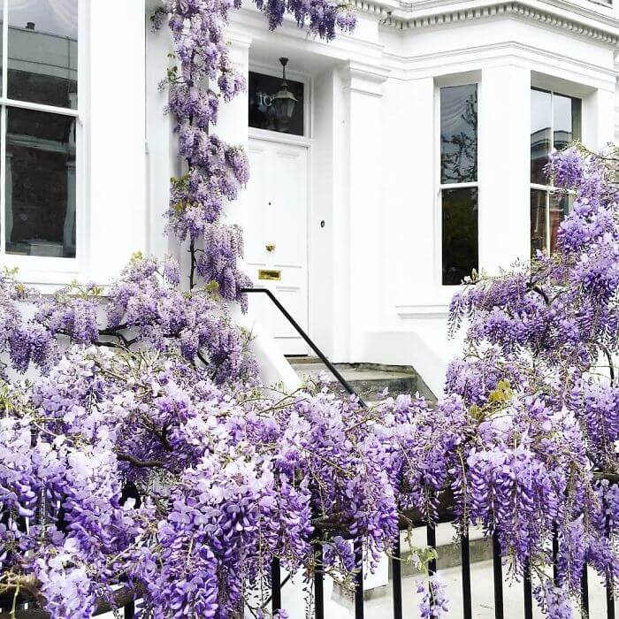 Woman Takes Stunning Pictures Of The Most Beautiful Front Doors In London
