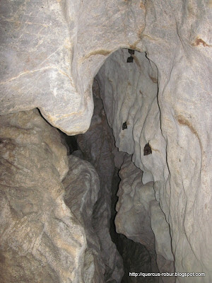 Zots, in Lingyin caves - Hangzhou