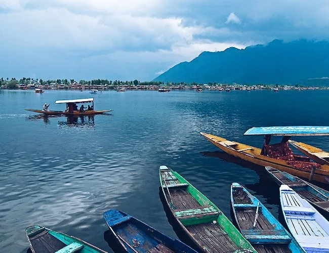 Boats in Dal Lake in Srinagar