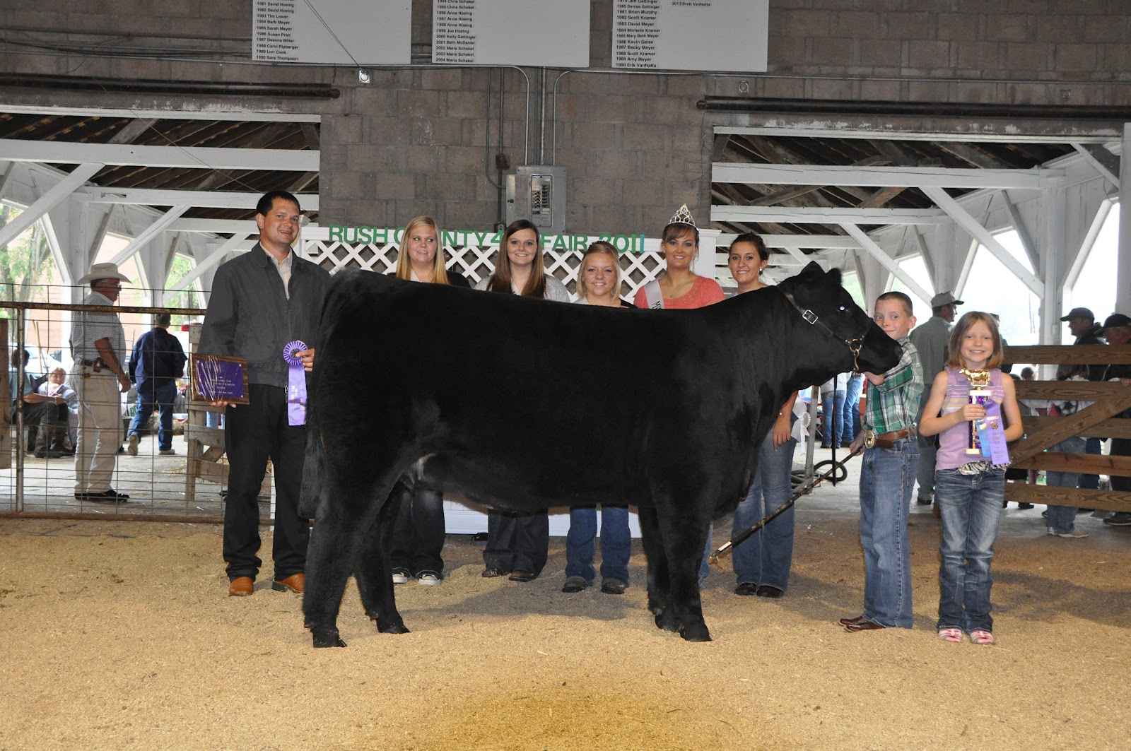 Dawson Cattle Company Shows