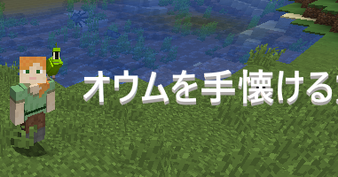 手懐ける
