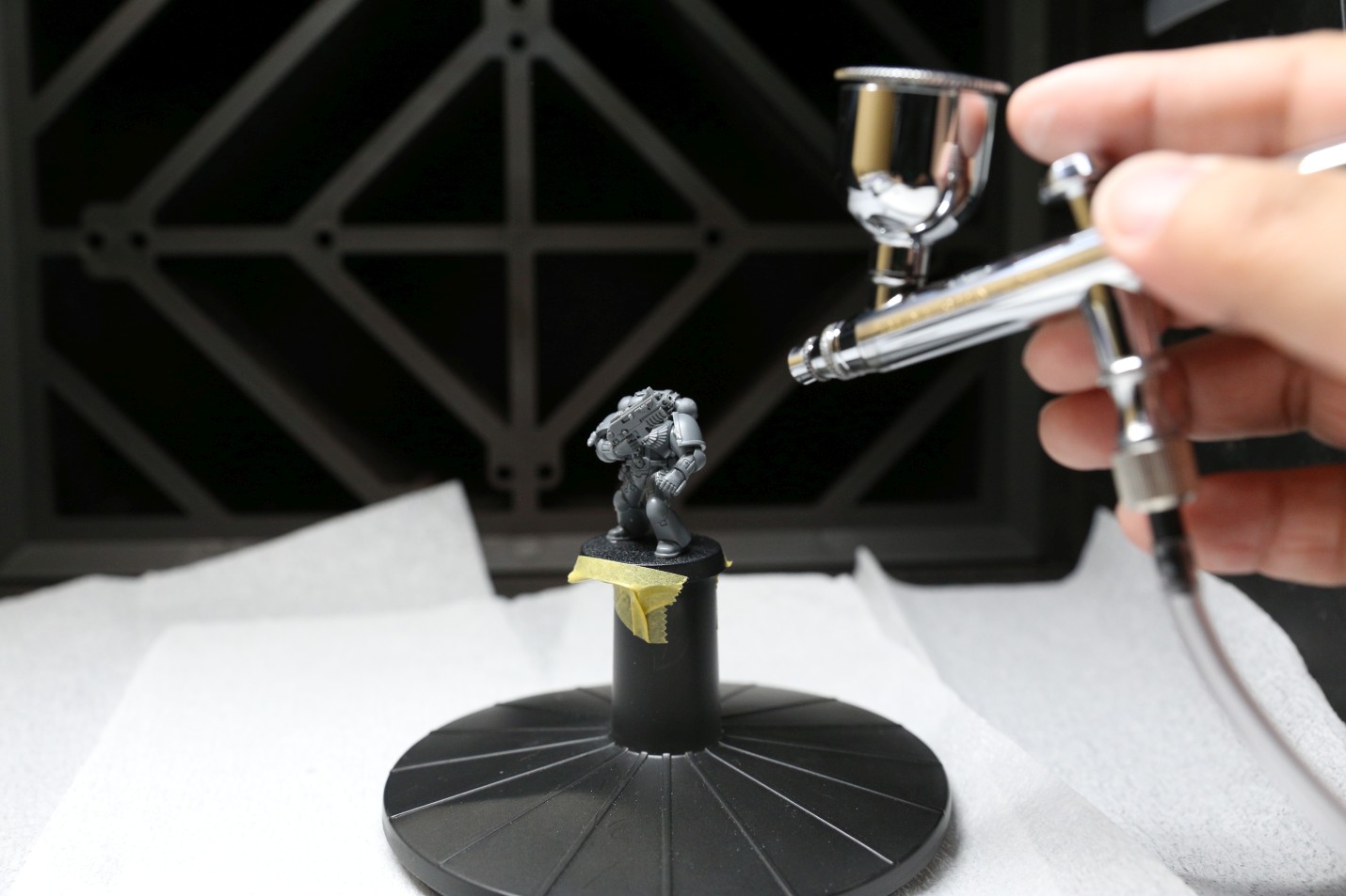 弱い光が必要な観葉植物 - Tiger's Tongue