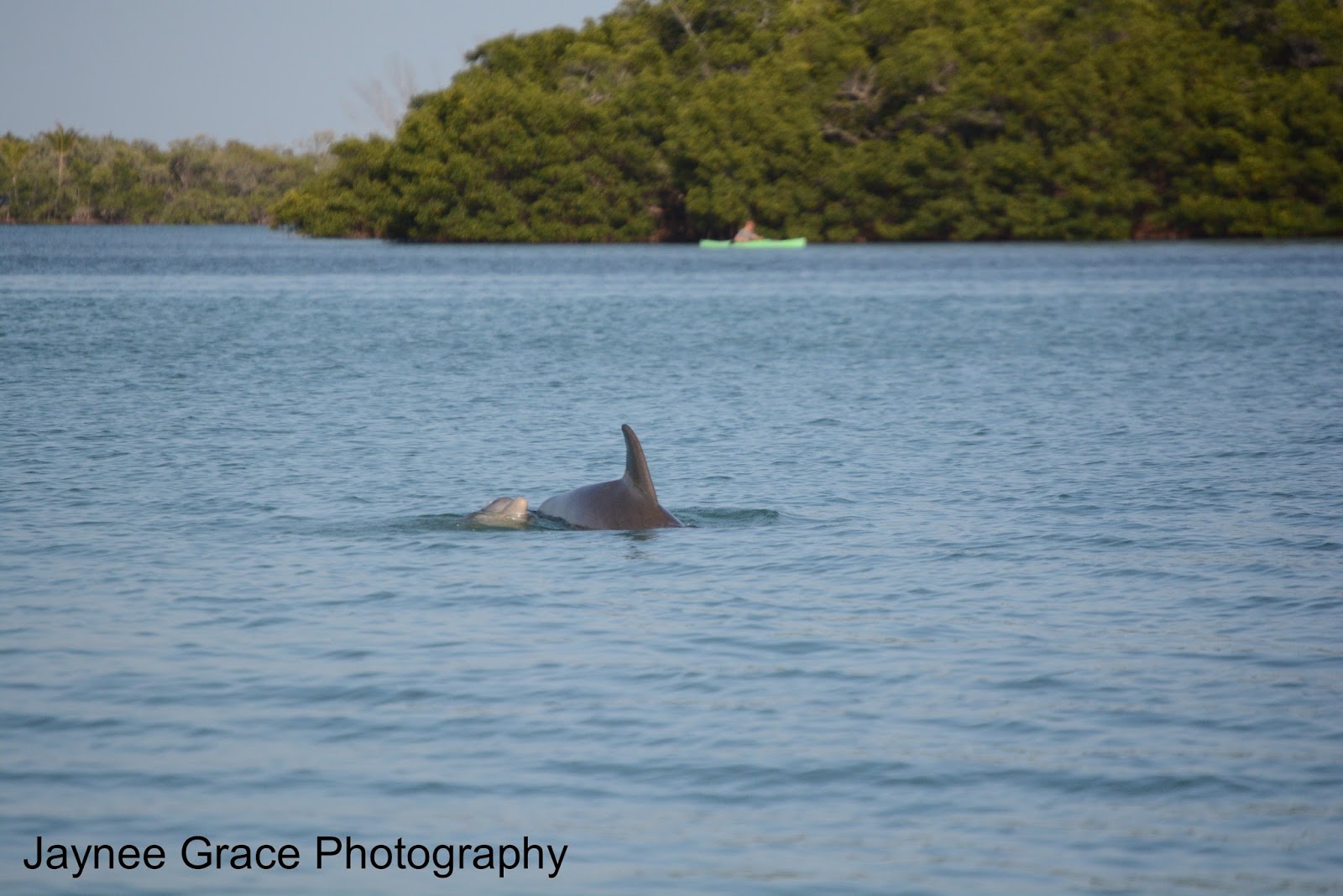 Exploring Florida Waters Placida Day One Placida Harbor, Gasparilla Sound, & Little