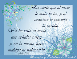 biblicos versiculos mensajes biblia cristianos job bonitos imagenes matrimonios cristianas verdad muro palabras hermosos dia tu madres bible frases compartir