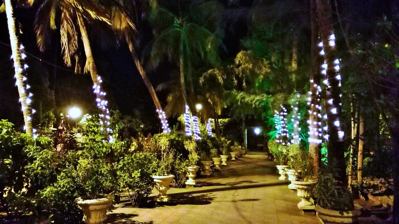 Night Garden Background