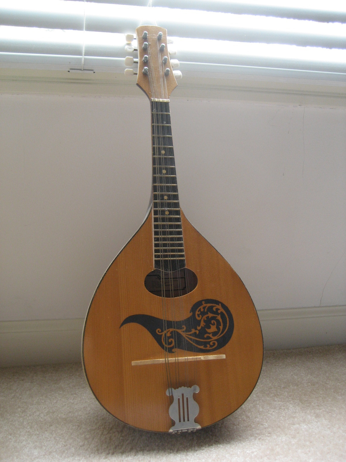 dailymoustache 78. Mandolin moustaches