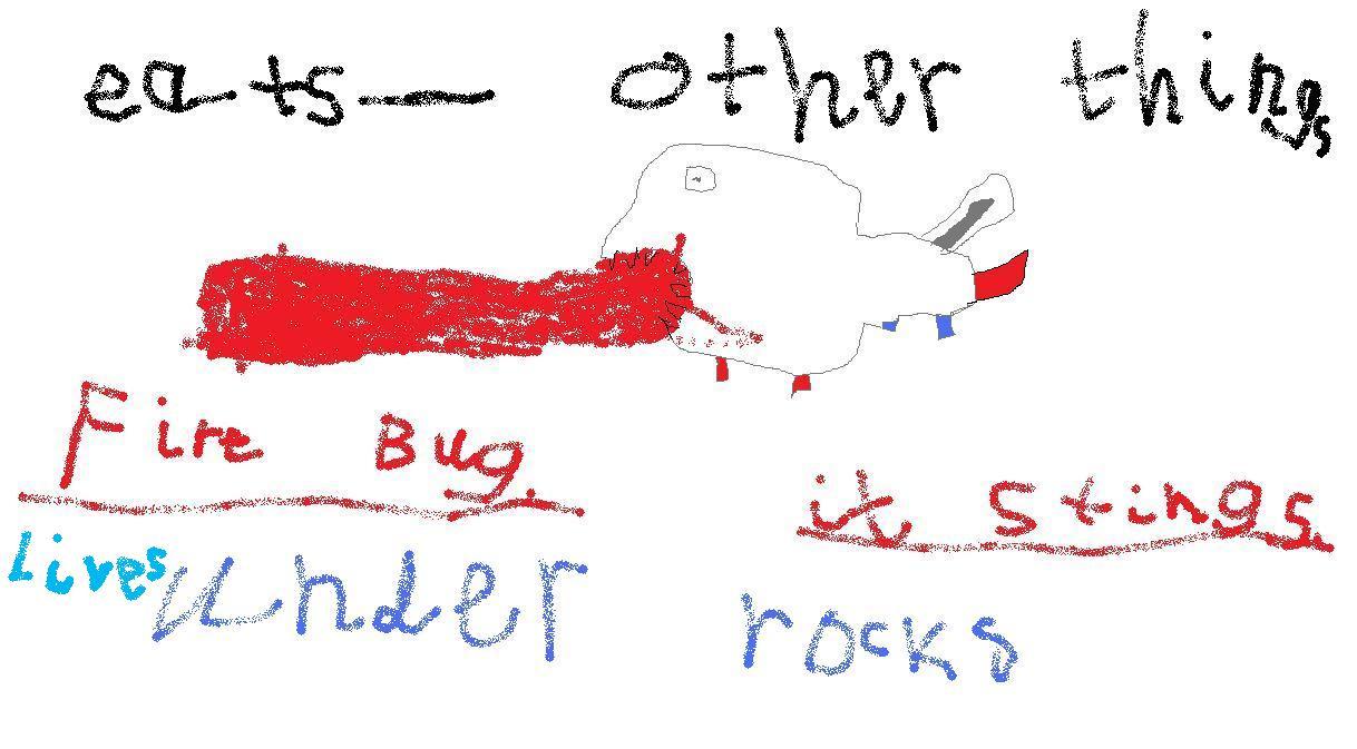 ZionSt. John Lutheran School Invented Insects 2nd Grade