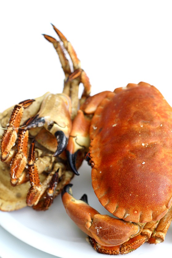 C’est le temps du Tourteau …. recettes Salade de mâche vitaminée