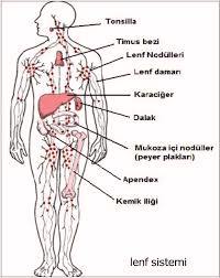 sistem hastaliklari dersi 2016