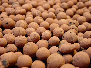 Media Tanam Hidroponik Hydroton Murah ~ Panchids Hidroponik