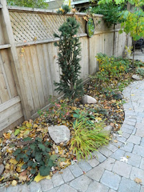Cabbagetown Toronto garden makeover before by Paul Jung Gardening Services