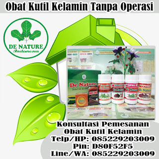 Obat Kutil Kelamin