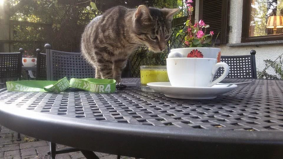 Kiezschreiber Oktober 2014