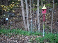 Next two photos...     view from my kitchen window...