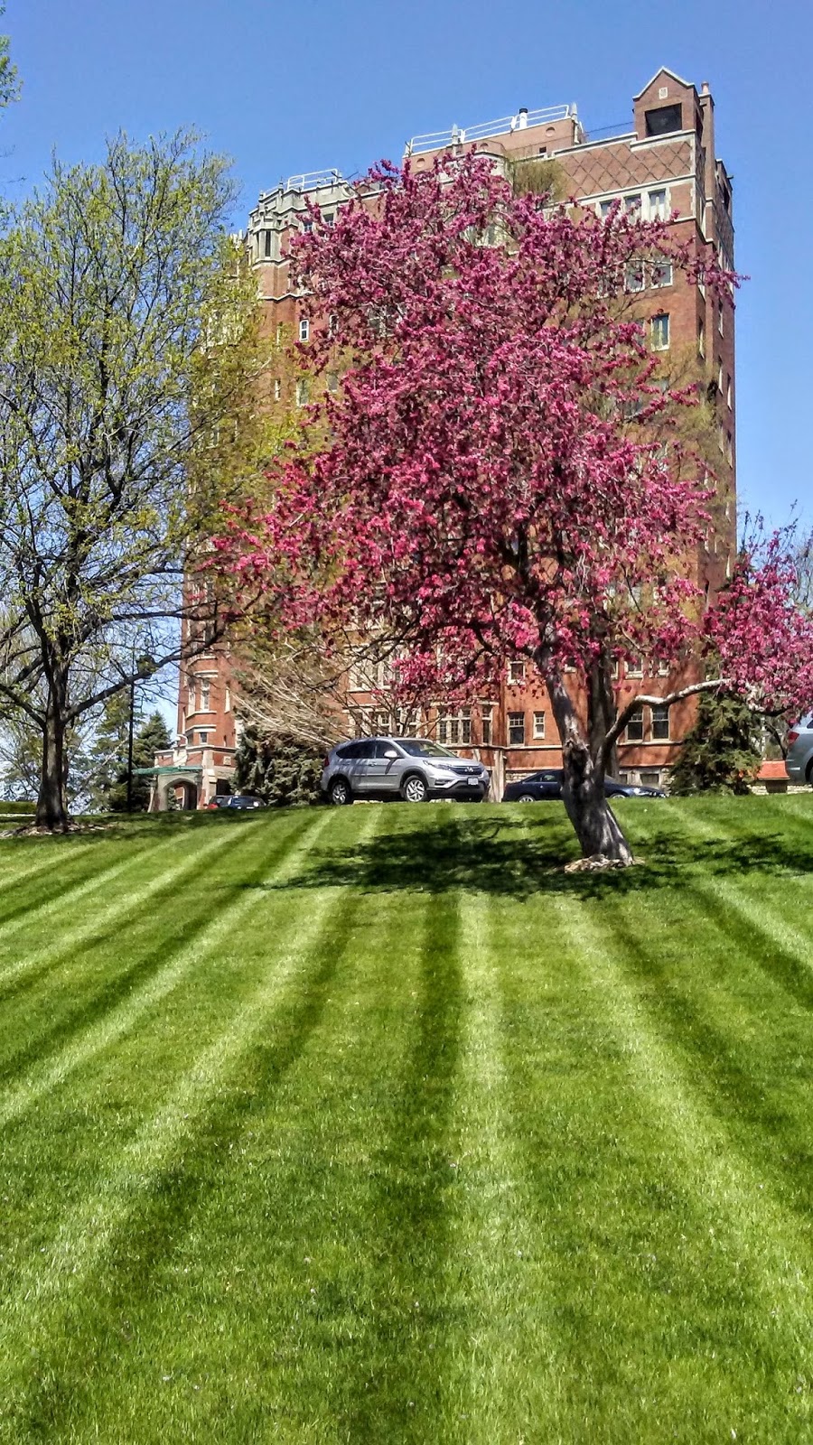 KC Photog Blog The Walnuts