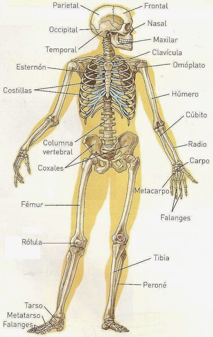 Blog de Emilio = E.F. + Ciencias de la Naturaleza + Ciencias Sociales