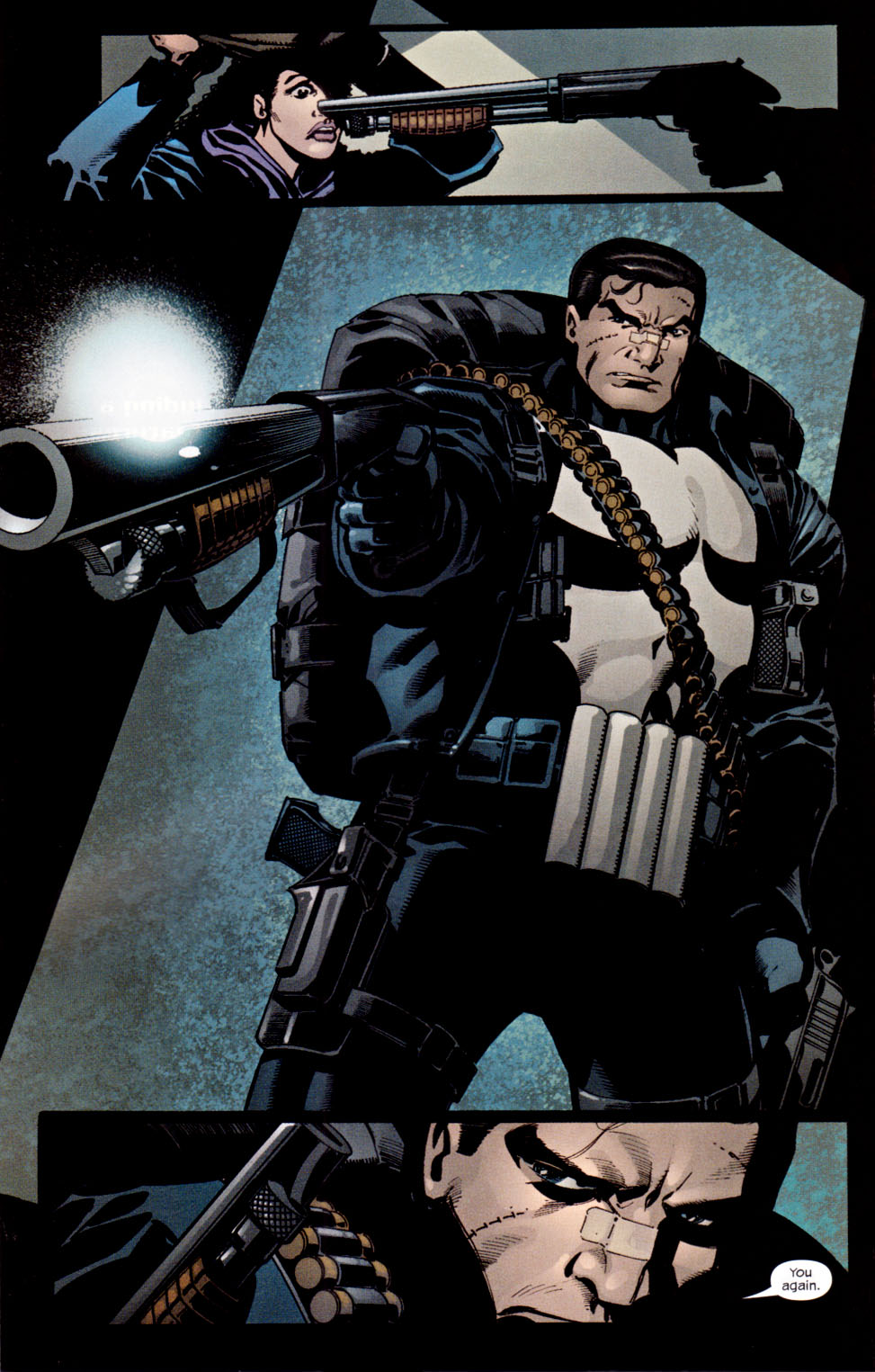 Read online The Punisher (2001) comic -  Issue #25 - Hidden - 19