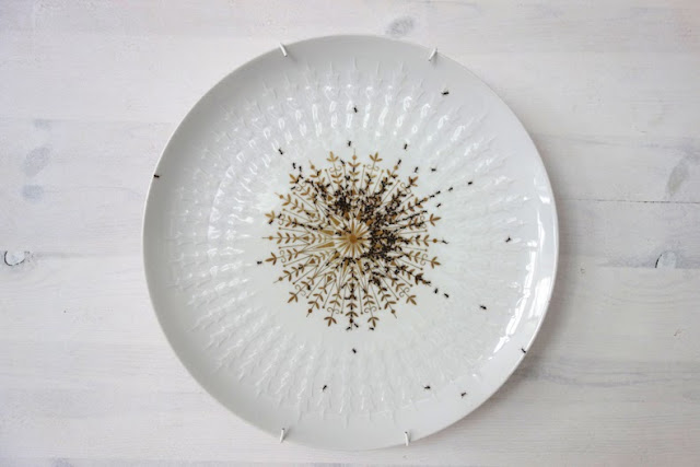 Platos de porcelana de época cubiertos en hordas de hormigas pintadas a mano