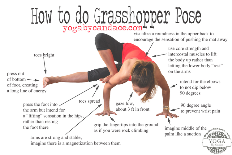 Yoga Pose: Grasshopper | Pocket Yoga