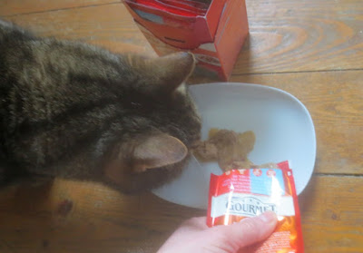 Mon Petit Duetti von GOURMET Mon Petit Duetti von GOURMET