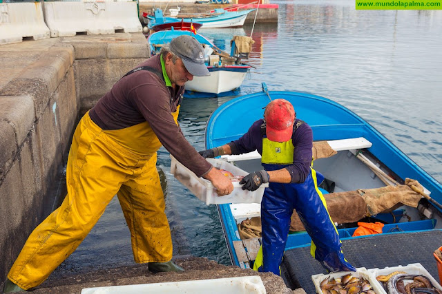 La Cofradía de Las Nieves lanza su pescadería online ‘El Muellito’