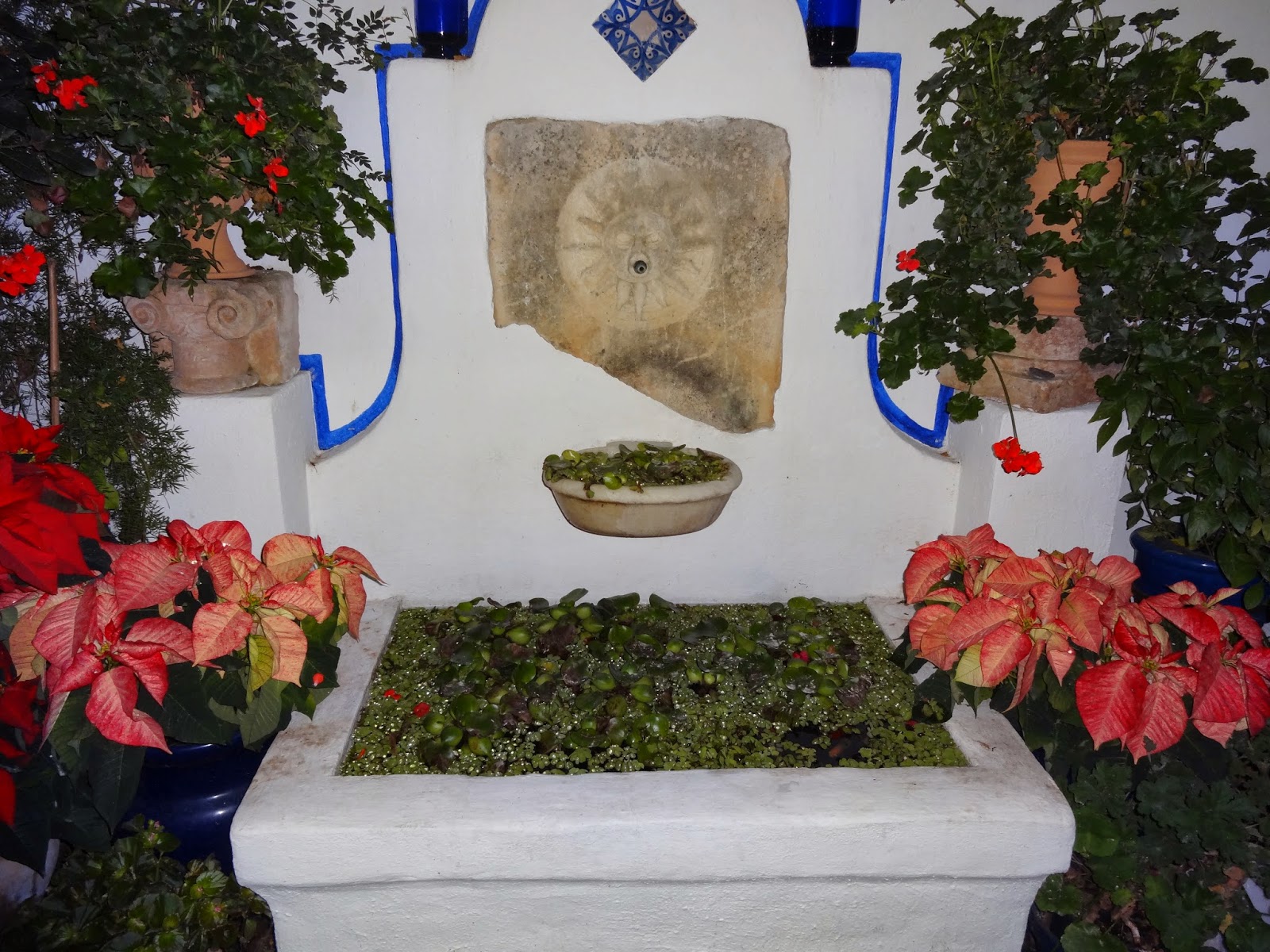 Entre patios y plantas: Como hacer un patio Cordobés