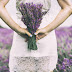 [Lavender Fields]*