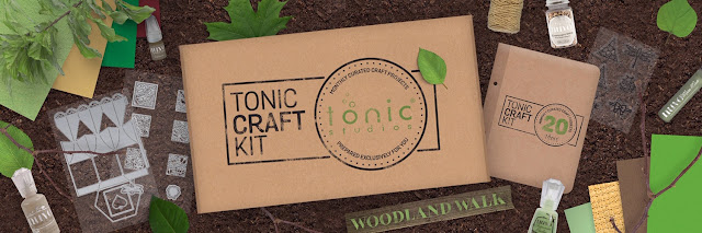 tonic-craft-kit-20-all-about-boxes