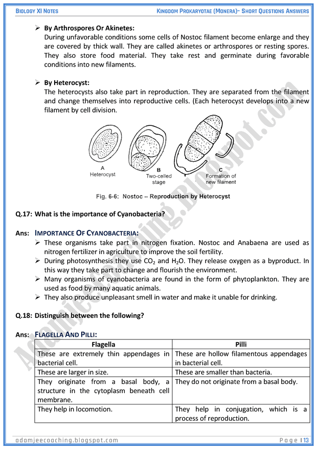 kingdom-prokaryatae-monera-short-question-answers-biology-11th