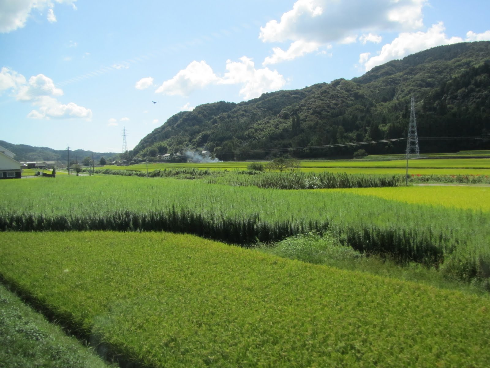 Geog 1202: The Fertility of Oita