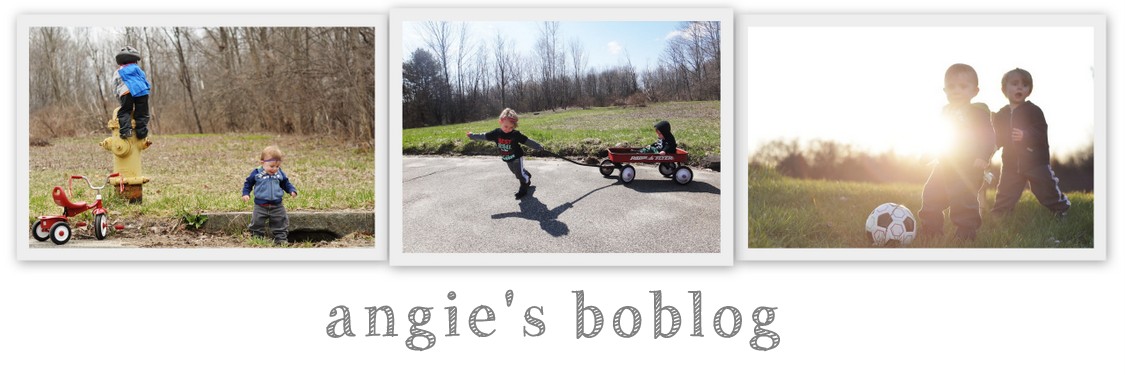 Angie's BoBloG