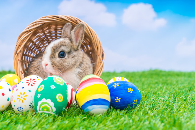 ♂ Easter Pictures Images Wallpapers Photos Graphics 2017 For Facebook & Whatsapp ♂ Easter Pictures Images Wallpapers Photos Graphics 2017 For Facebook & Whatsapp
