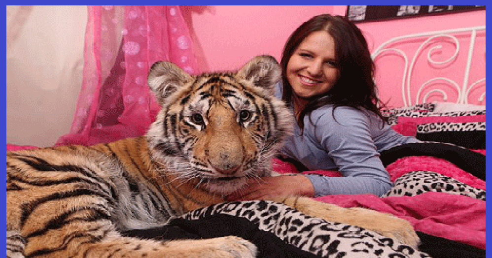 MIMPI HARIMAU (Menurut Primbon) - Tafsir Mimpi