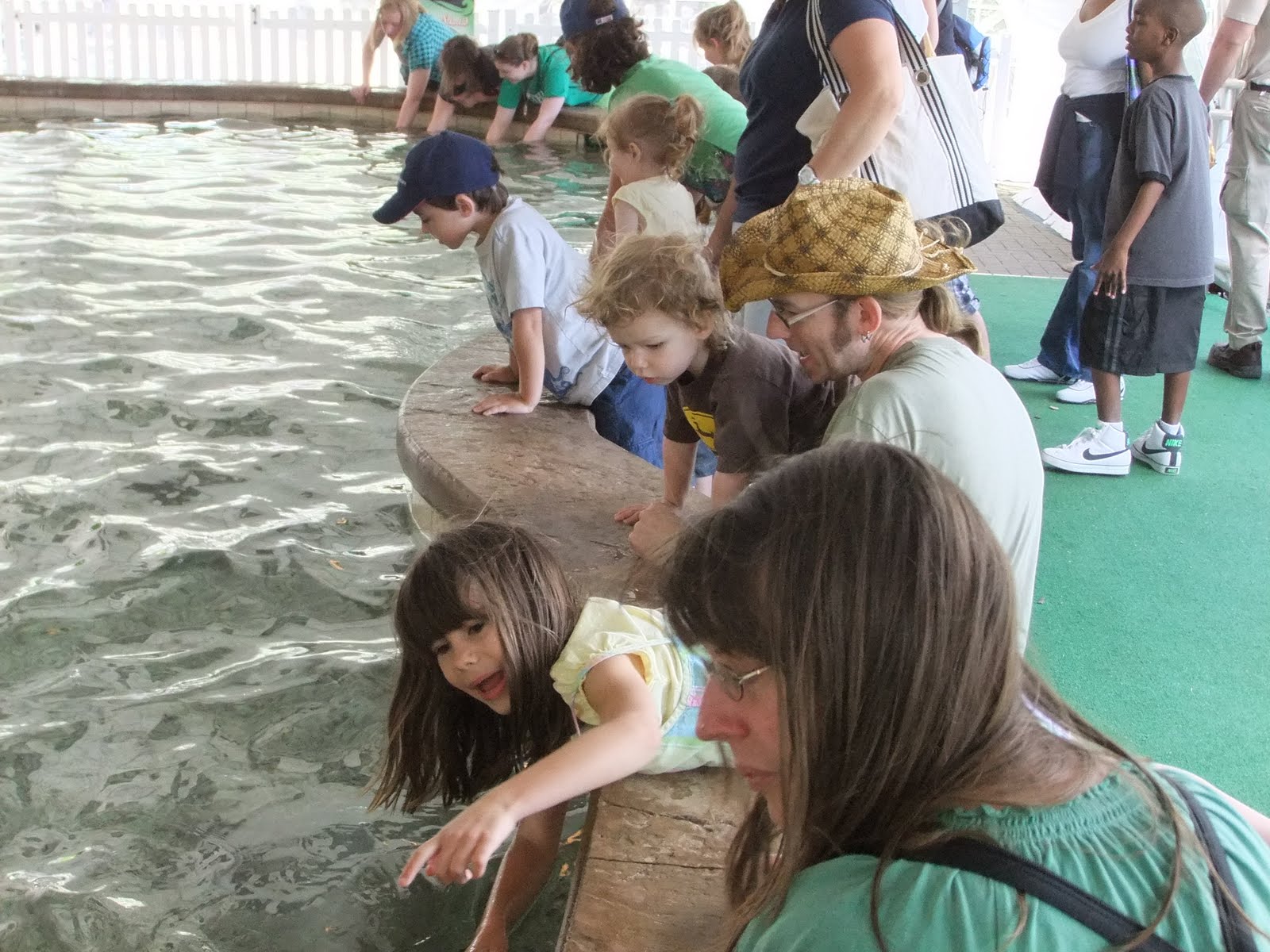 My Bologna Plus 3 Zoo Season