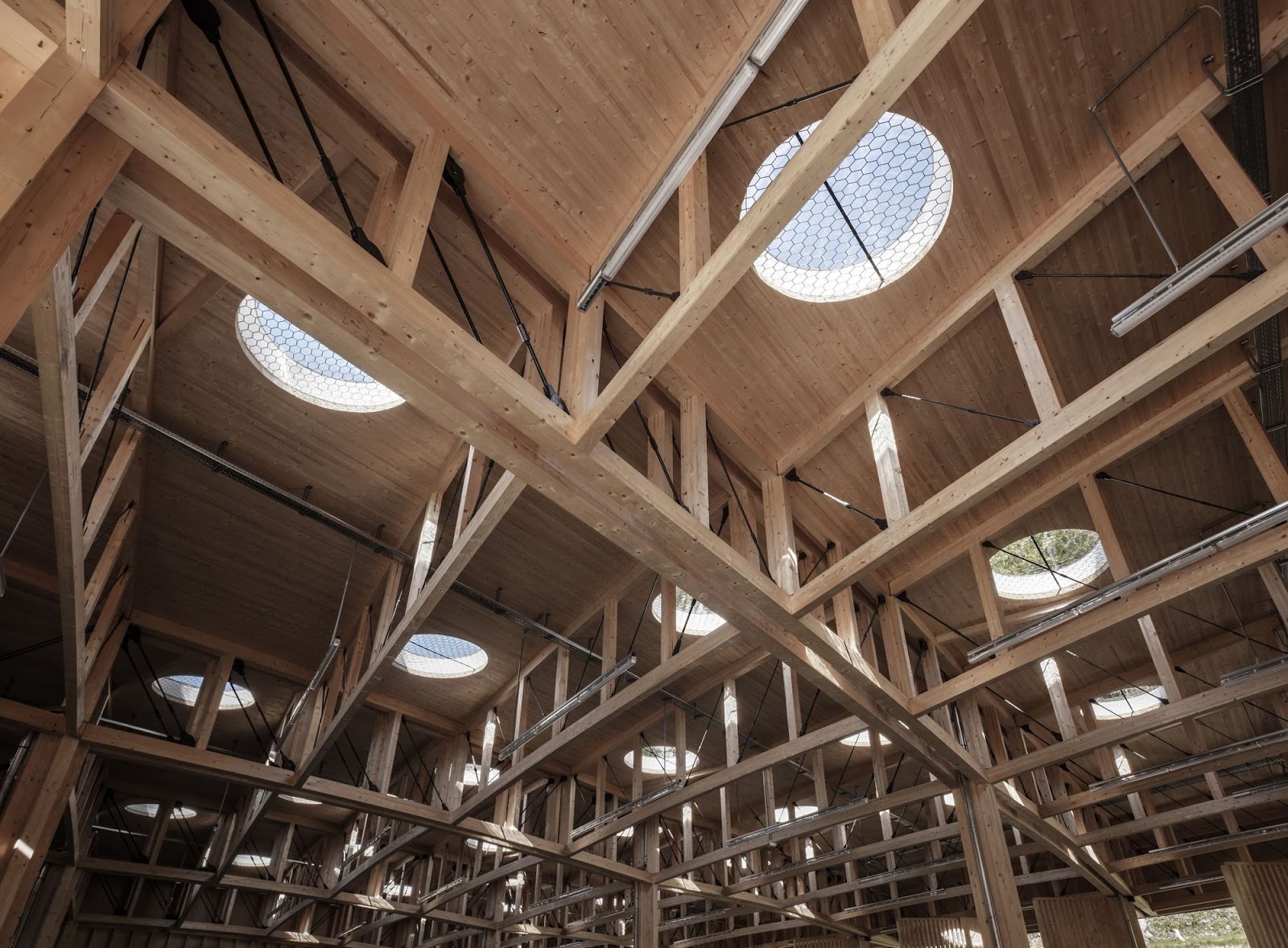 Marte Marte A F A S I A