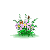 Galleryku Animasi Gif Bunga Galleryku Animasi Gif Bunga