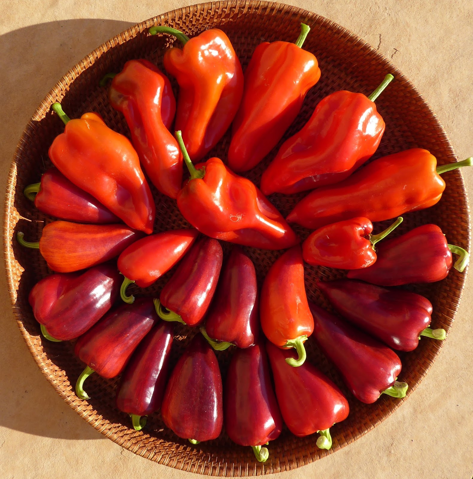 From Seed To Table Sweet Pepper Jerky