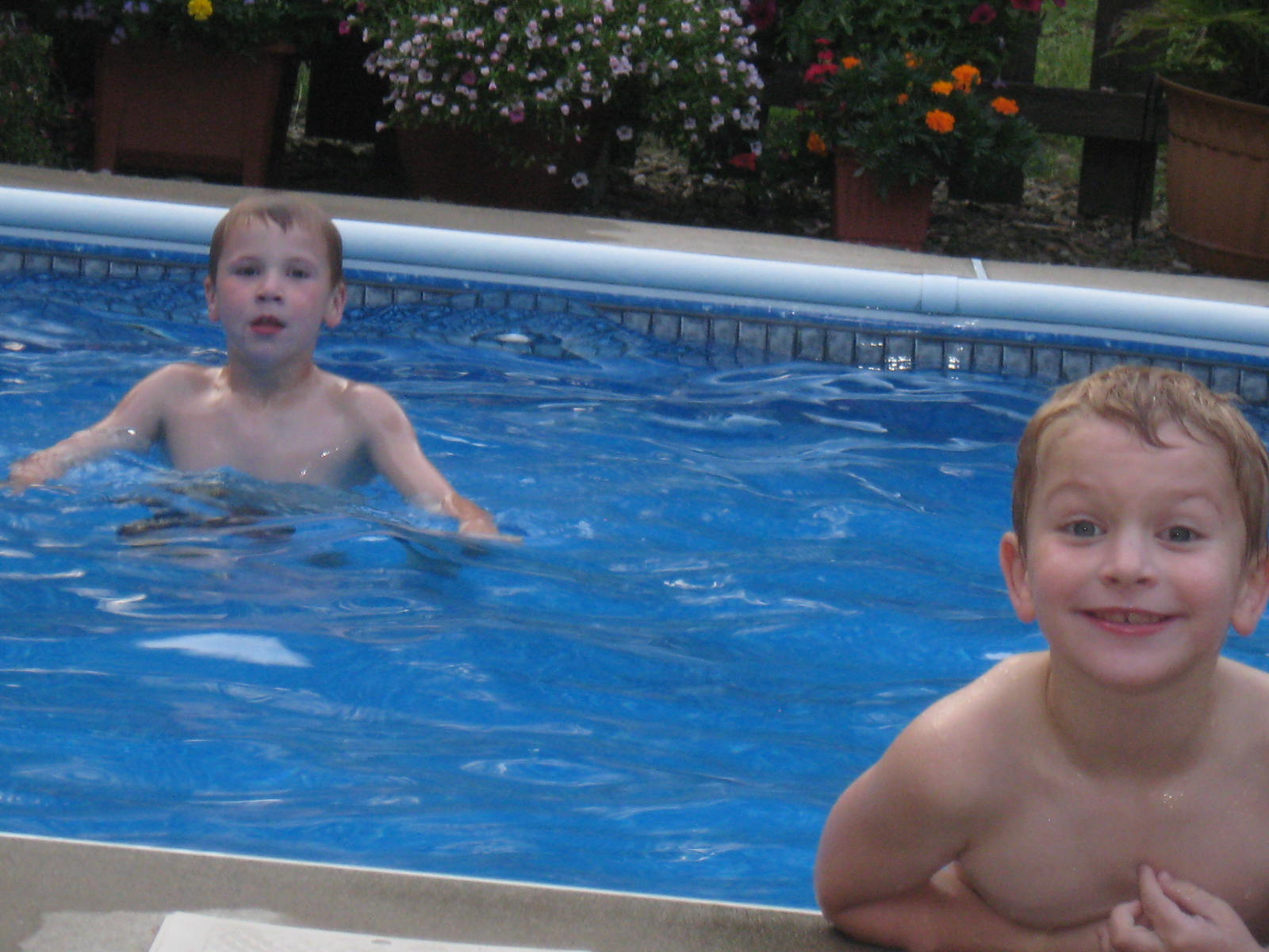 The Country Blossom: Some Photos and Healthy Eating Questions Answered