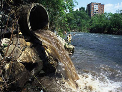 LAS INVESTIGACIONES DETECTAN TÓXICOS EN LAS AGUAS LAS INVESTIGACIONES DETECTAN TÓXICOS EN LAS AGUAS