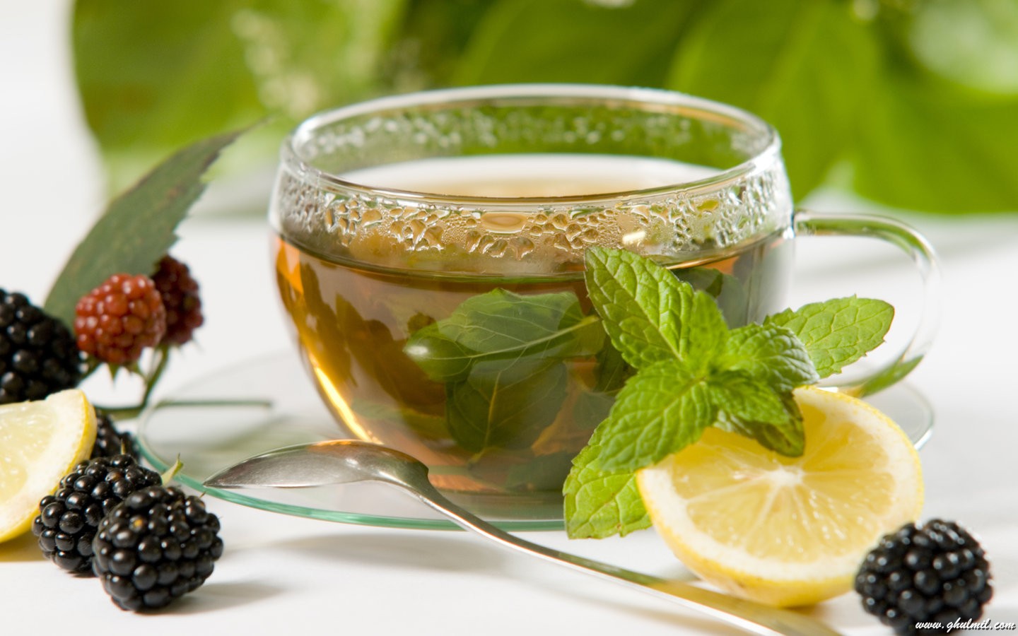 Infusion depurativa para bajar pesos Infusion depurativa para bajar pesos