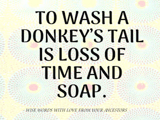 To wash a donkey's tail is loss of time and soap