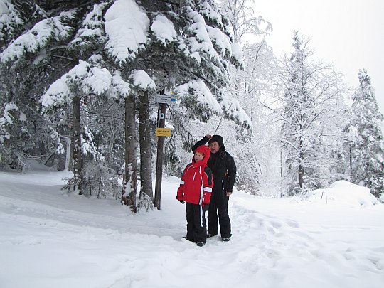 Kobyla Sałasz (800 m n.p.m.).