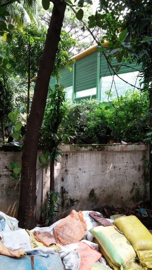 LG G2: outdoor, no flash Perbandingan Hasil Kamera Lumia 925 vs. LG G2
