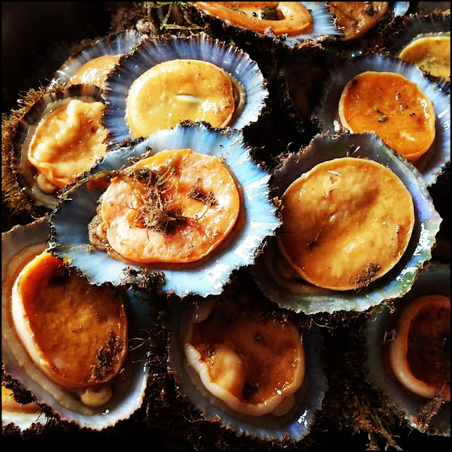 Lapas Grelhadas Grilled Limpets