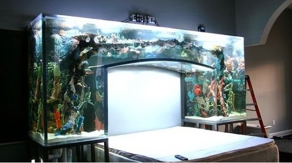Aquarium Designs In Your Bedroom Interior Seribupilihan Have A Nice Day