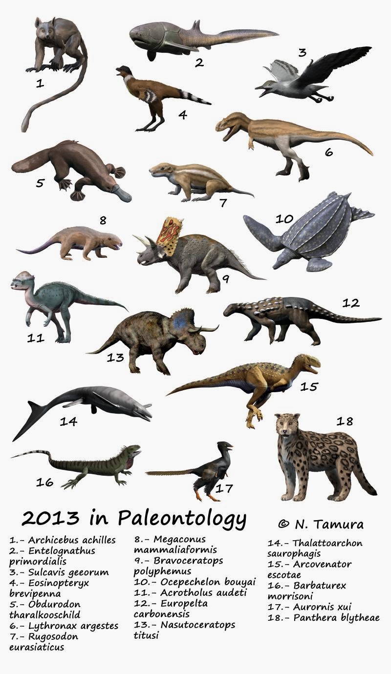 Paleoexhibit 2013 in Paleontology