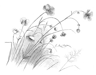 flower image drawing artwork digital download
