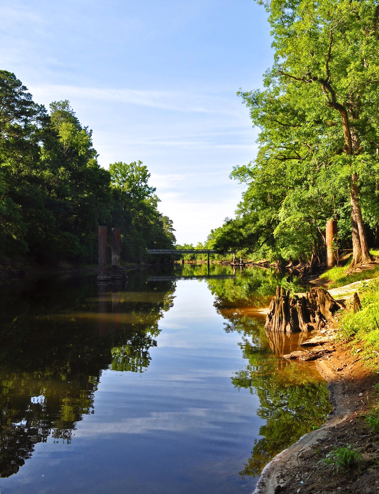 A Tidewater Paddler Nottoway River 7/6/14